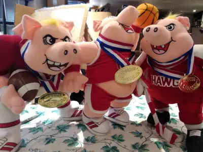 Hockey, basketball and football pigs, View more