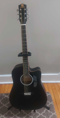 Acoustic/Electric guitar package 