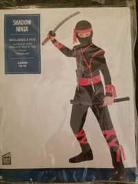 Costumes de Ninja
