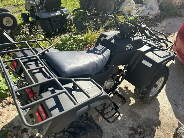 250cc ATV in ATVs in Ottawa - Image 4