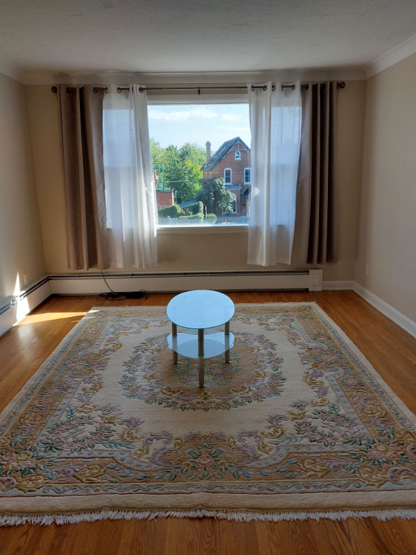 Three Bedroom, Recently Renovated Apartment in Downtown Kingston Long Term Rentals Kingston
