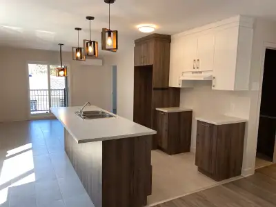 logement 4 1/2 neuf mont tremblant près polyvalente