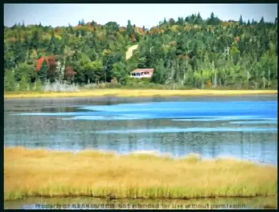 Rare opportunity to own 15 acres on water close to amenities and peaceful with no neighbors. The lan...