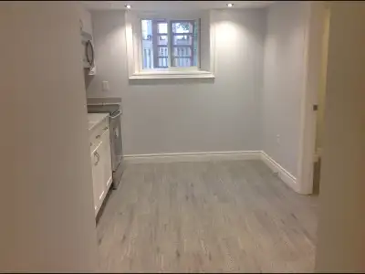 Leslieville Separate Entrance Renovated  Basement Apartment
