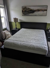 Queen Bed (Frame + Mattress): IKEA Malm - black