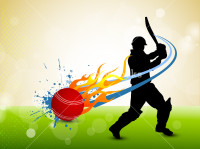 Looking for leather ball cricket players