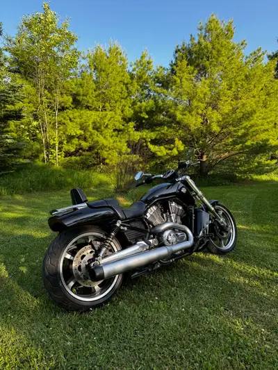 2009 v-rod muscle 1250 58,000kms, well maintained Bikes been across Canada and down the us. Mvi done...