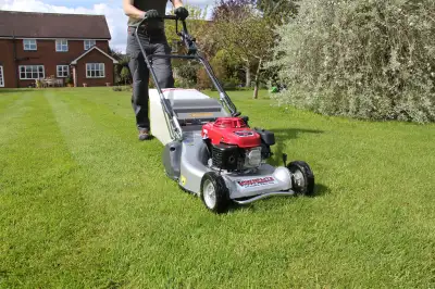 LAWN MAINTENANCE, Sod, Hedge Trimming, Mulching-6472503367, View more