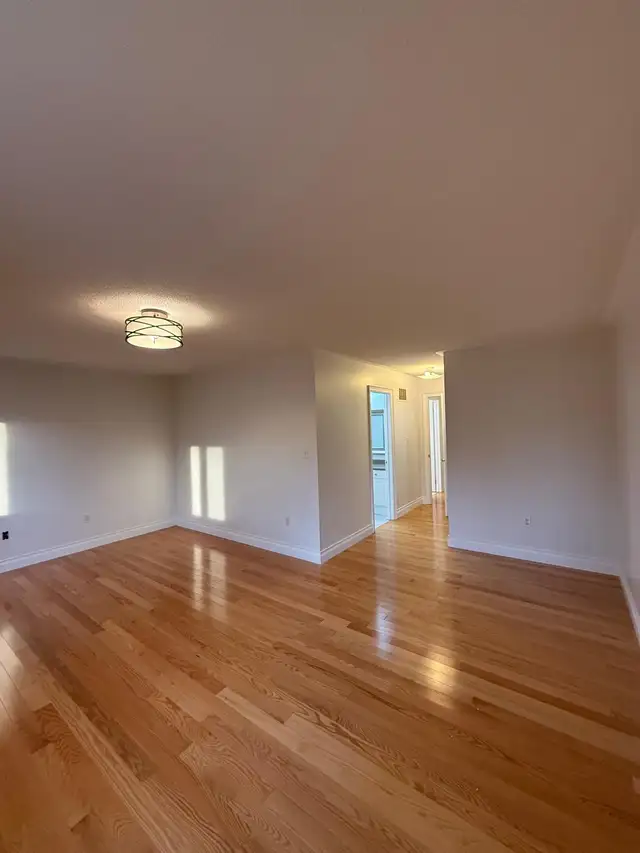 Painter available449234500941271041