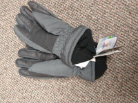 2010 Vancouver Winter Olympics Ski Gloves Size L