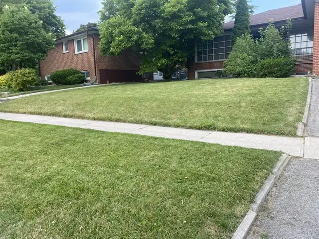 Grass cutting Lawn mowing / Lawn care / Leaf cleaning62863240794755124