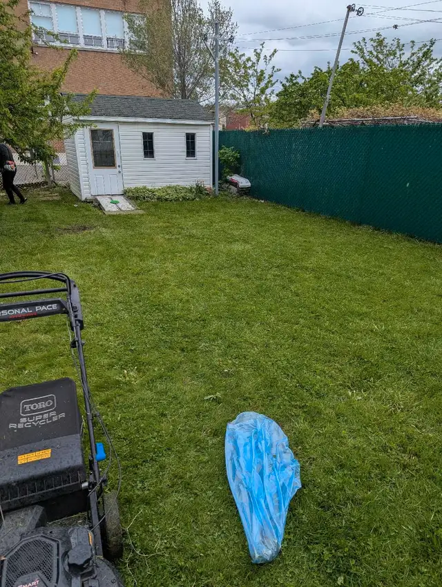 lawn mowing - grass cutting - high pressure cleaning62866660041217125