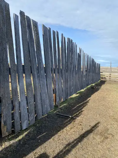 Wind fence boards. Would be great for weddings or decor. Please call or text 403-586-2238