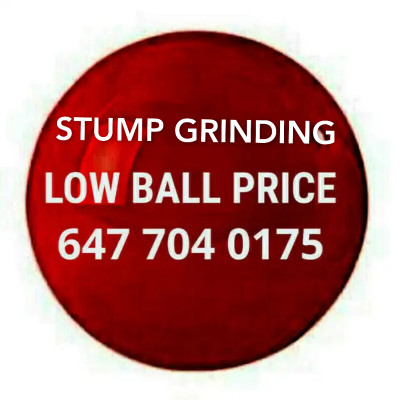 $100 TREE REMOVAL, STUMP GRINDING 647-704-0175