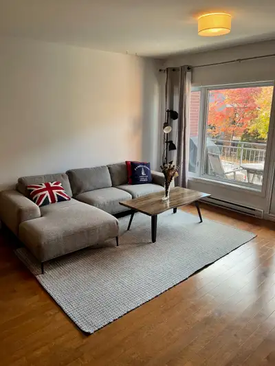 Grand 4 ½ style condo à 5 min Marché / Metro J-Talon de 910 pc incluant 2 CC + Grand balcon et range...