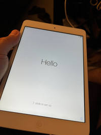 iPad Mini with iOS 12.7