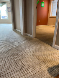 Shampoo Steam Carpet floor Stairs Rooms Hallway Closet $40