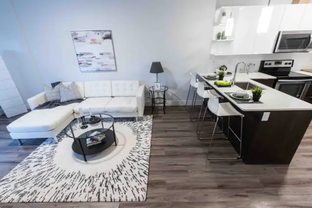 1br July 1st or Sept 1st North End Halifax62865715296385121