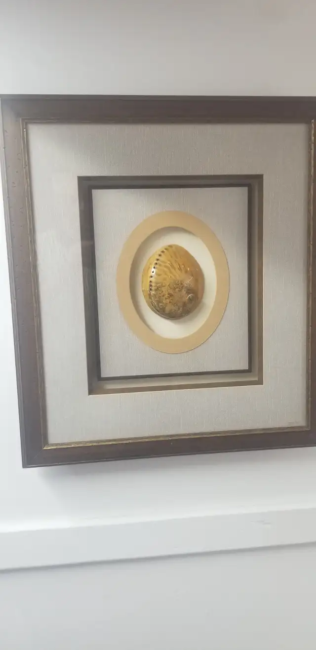 Abalone Shell Shadow Box Wall Art