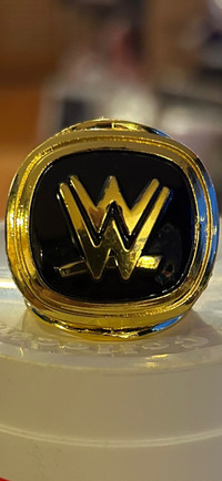 2015 WWE Wrestling Hall of Fame Ring WWF HOF Showcase 304