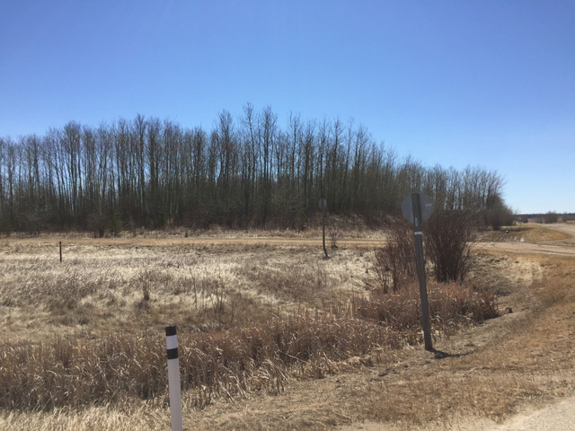 Acreage for sale in Land for Sale in Edmonton - Image 3