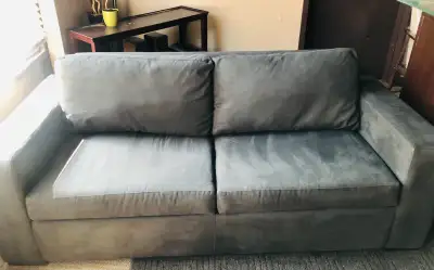 Couch with Pull-out Bed, View more
