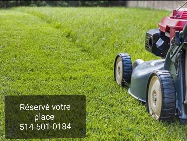 Coupe de gazon⭐️ BAS PRIX⭐️lawn mowing  dans Décoration extérieure  à Ville de Montréal - Image 2