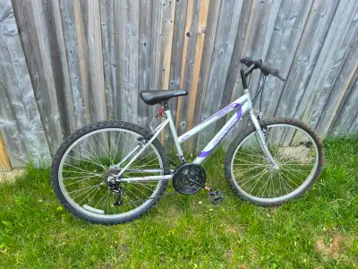 SC1800 girls 17" frame bike, View more