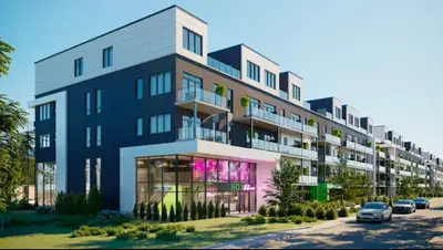 1 Bed 1 Bath Nox Apartment