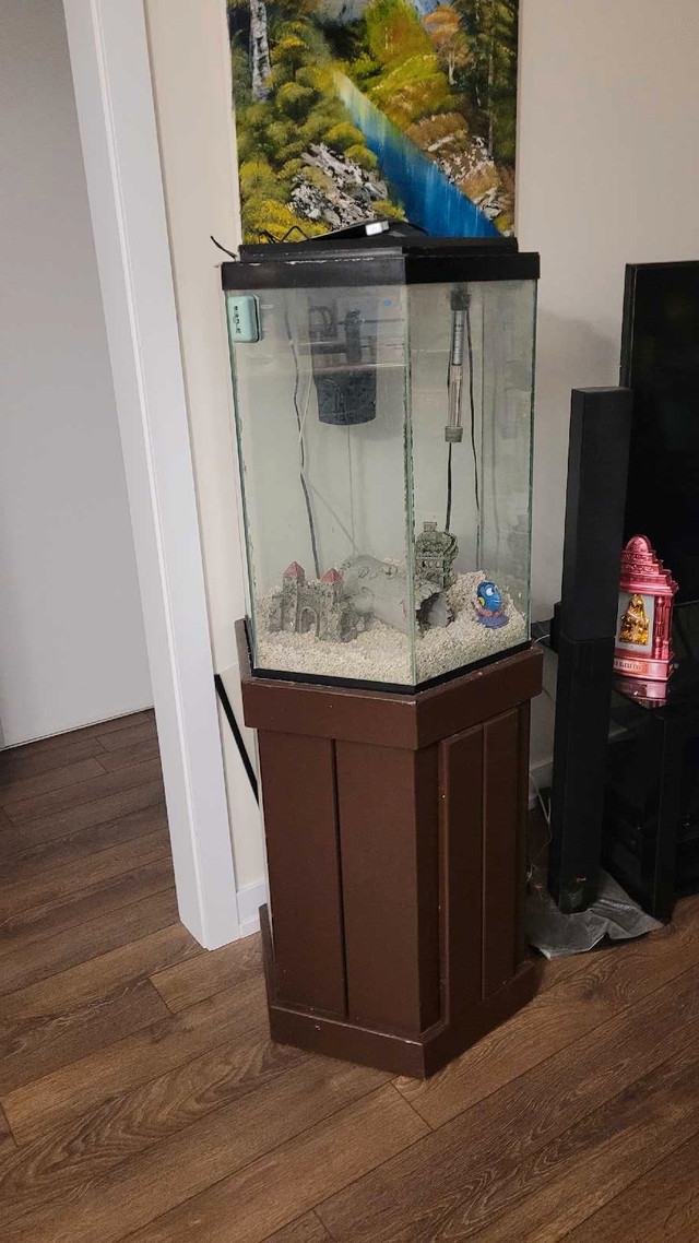 Fish tank and stand for sale  in Accessories in La Ronge - Image 2