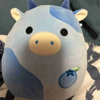 Squishmallow blueberry cow plush toy , View more