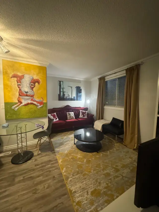 CHIC, CLASSY, FULLY-FURNISHED, ONE-BEDROOM FLAT IN CENTRAL YEG