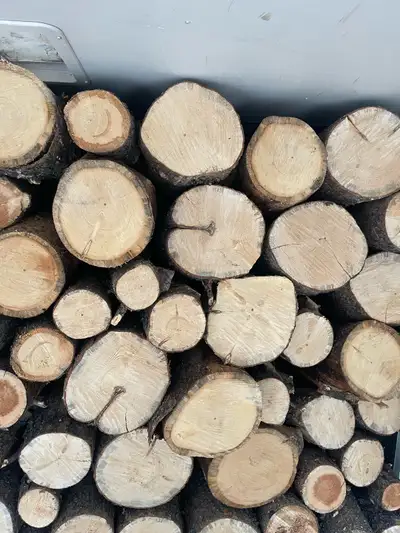 FIREWOOD, View more