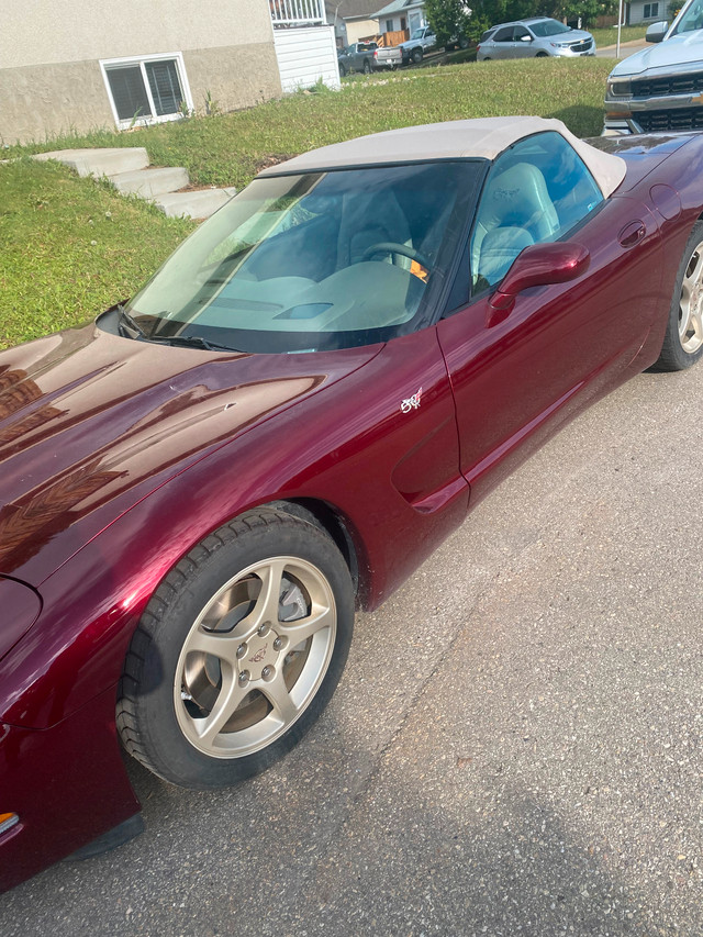 Rare true Golden anniversary Corvette Convertible in Classic Cars in Grande Prairie - Image 4