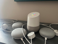 Google Home Speakers 