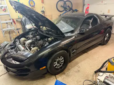 I have a brand new built 1998 ws6 I have $100,000 into this over the last 5 years we just finished t...