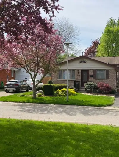 Good opportunity for moving into big house from apartment
