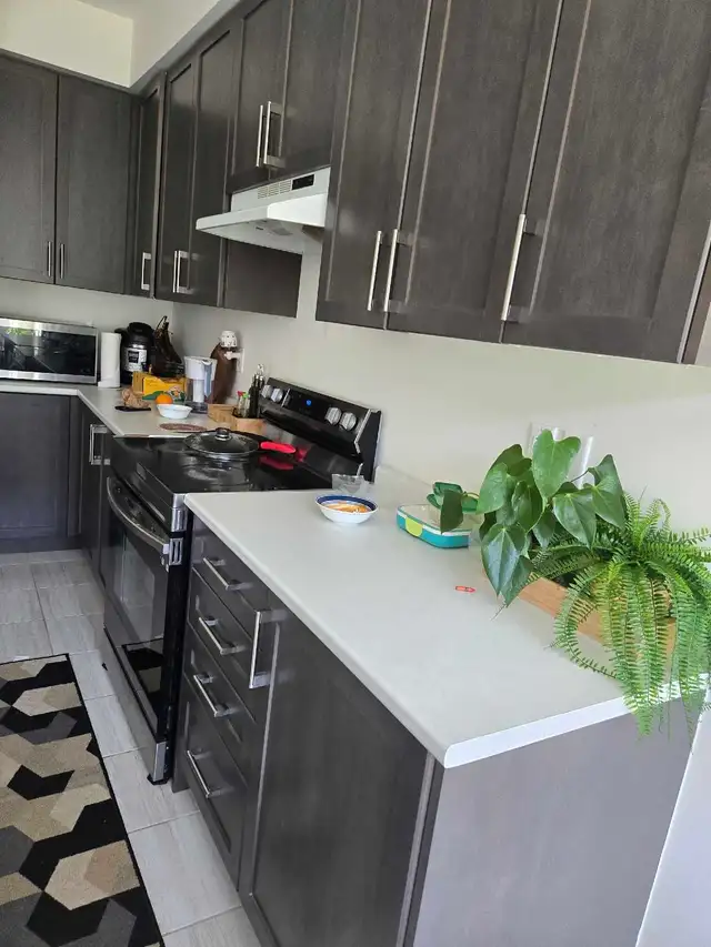 Legal Bassment Renovation in Renovations, General Contracting & Handyman in City of Toronto - Image 4
