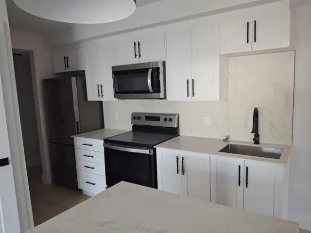Contractor/Carpenter available407649633562142722
