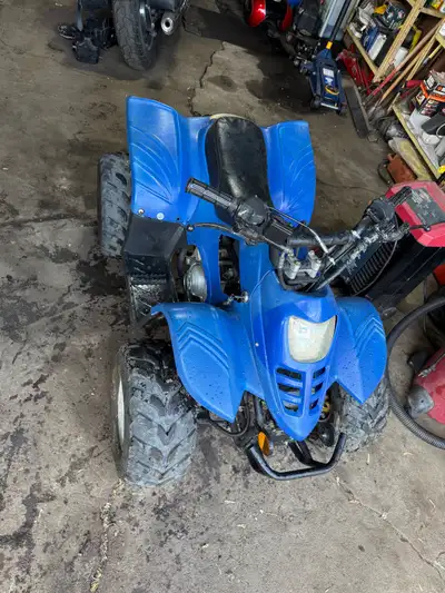 2009 Gio 110 2wd. This is my sons atv he rode all last year loved it it always worked good and now h...
