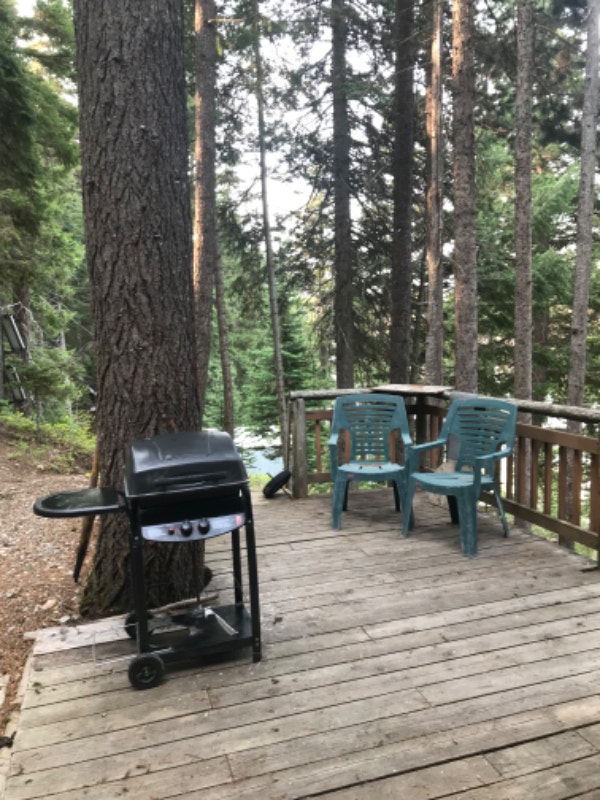 Lakefront Cabin Murray Lake BC Houses for Sale Comox / Courtenay / Cumberland Kijiji
