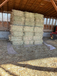 Hay in small bales 