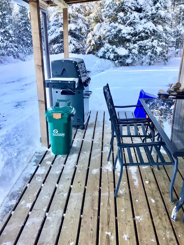 Cozy cabin in the woods in Ontario in Canada - Image 4