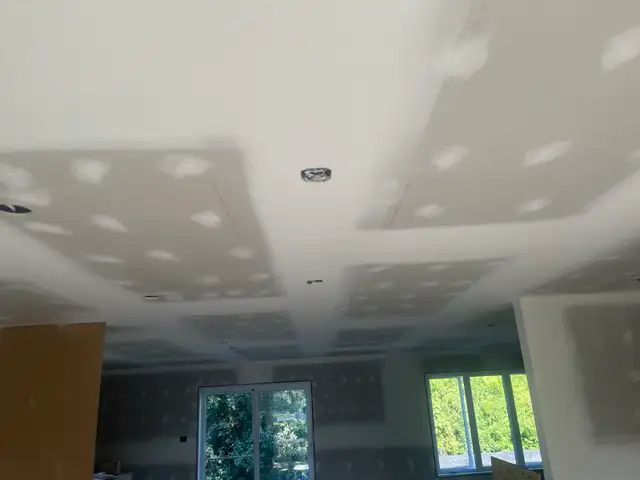 Professional Drywaller524412500721674247