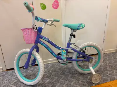 Nakamura Kids' Dream 16" Bike, Training Wheels, View more