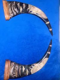 CHINESE HAND CARVED WATER BUFFALO HORNS