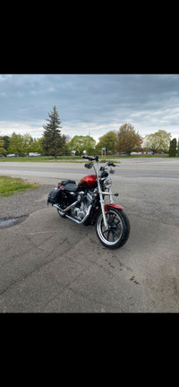 2013 Harley Davidson XL883 SuperLow