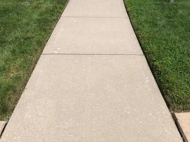 Simple Professional Lawn Service London, ON & Surrounding63235065684865123