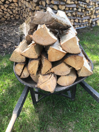 Fire wood for camping etc
