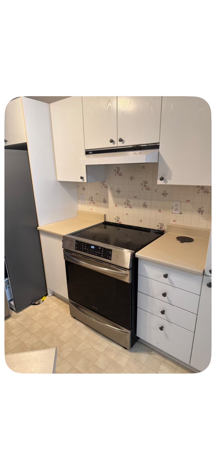 Beautiful Furnished 1-Bedroom (3/12) Apartment for Rent 5